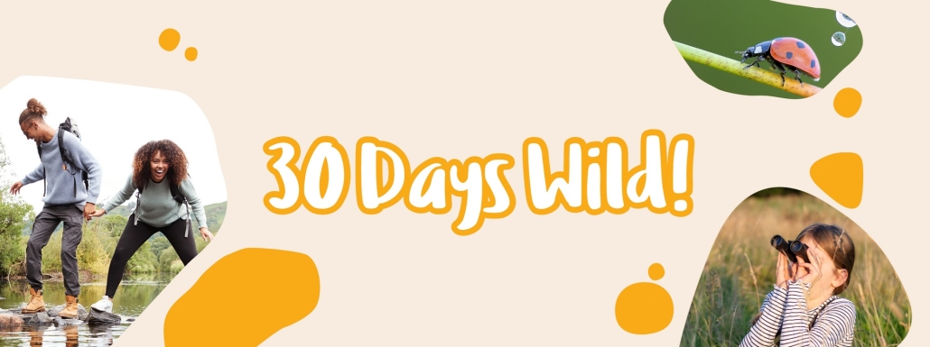 30 days wild