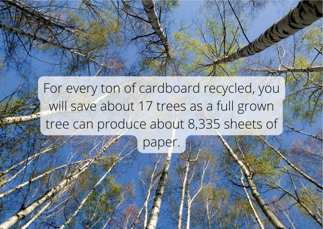 Cardboard facts For every ton of cardboard recycled, you will save about 17 trees as a full grown tree can produce about 8,335 sheets of paper.