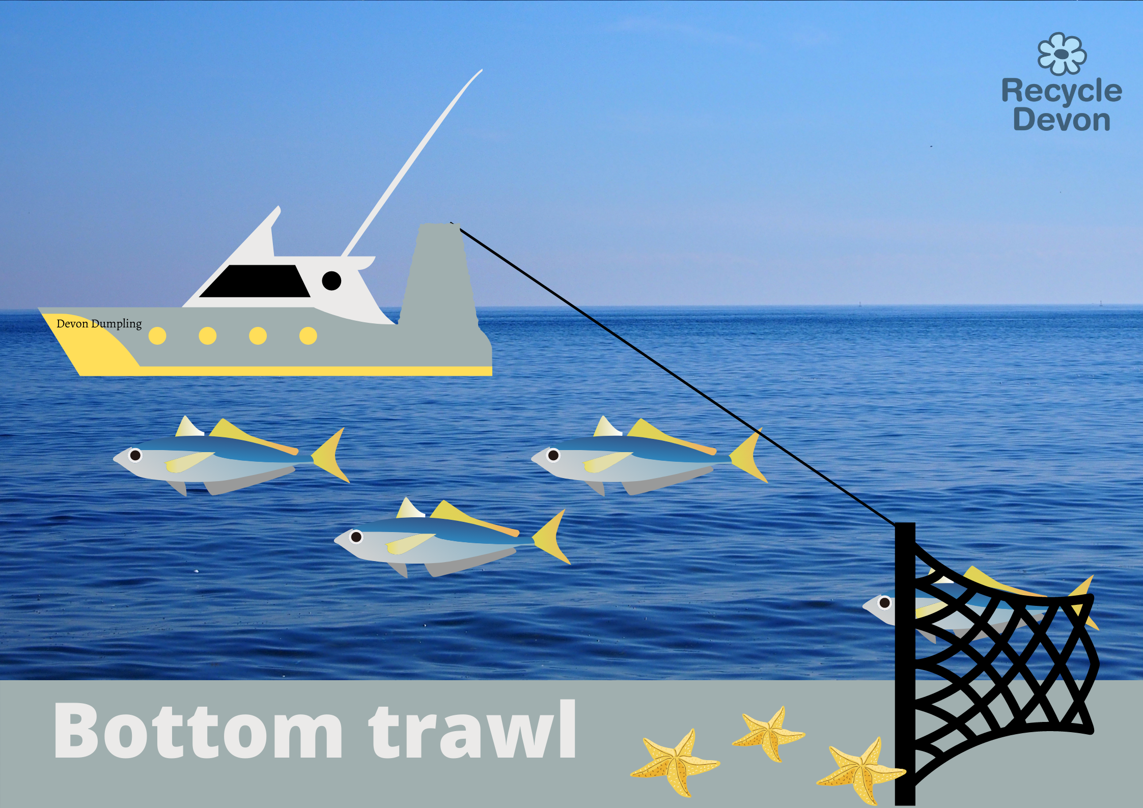 Bottom Trawl