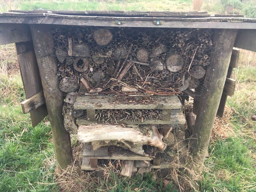 Bug hotel in Sidford play area Picture of a bug hotel in Sidmouth, Devon