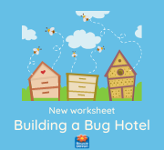 Build a Bug Hotel