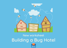 Build a Bug Hotel