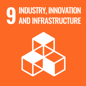 E_WEB_09 Icon for Sustainable Development Goal 9: Industry, Innovation and Infrastructure