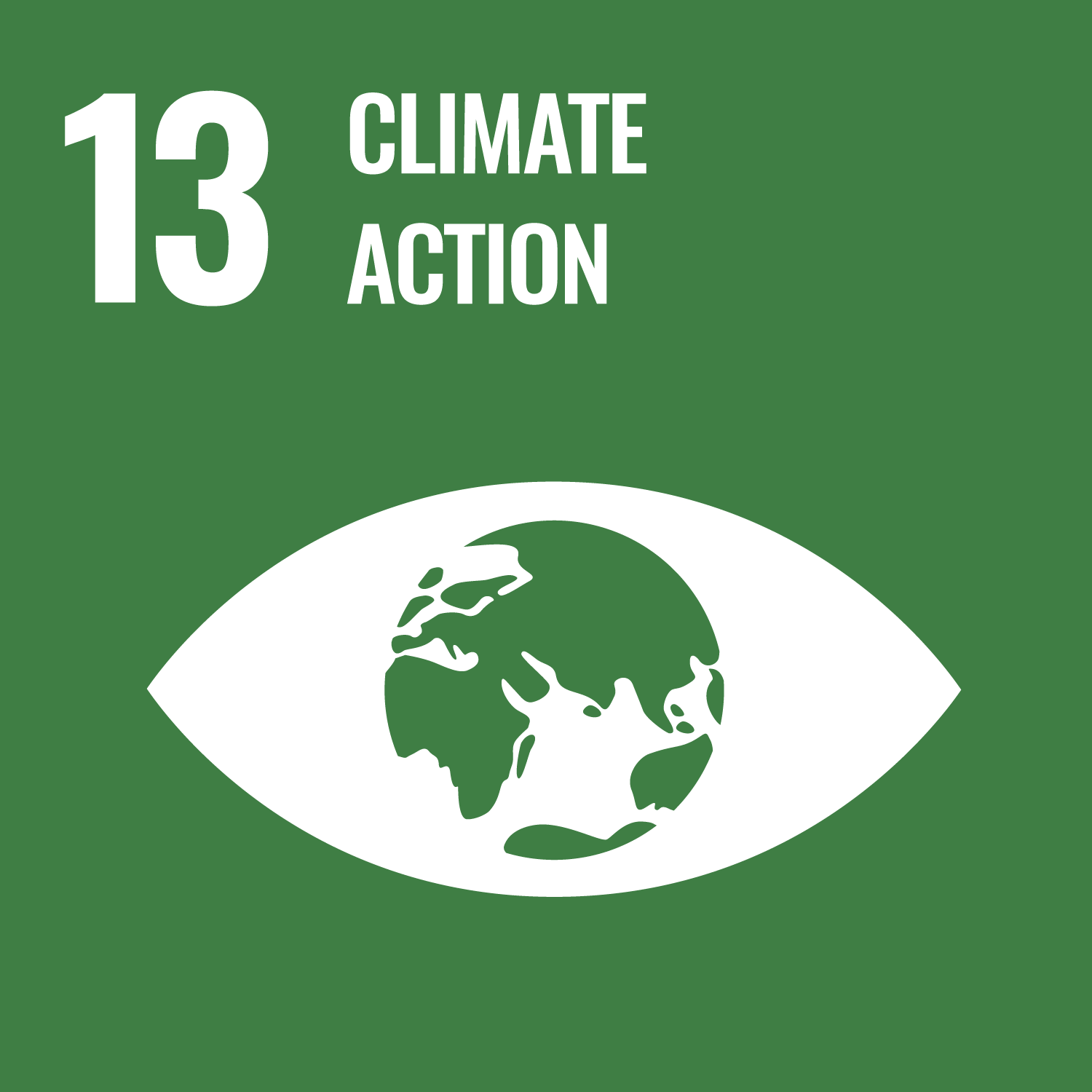 E_WEB_13 Icon for Sustainable Development Goal 13: Climate Action