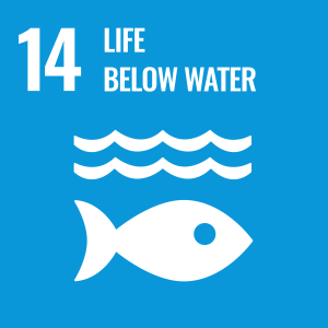 Icon for Sustainable Development Goal 14: Life Below Water Icon for Sustainable Development Goal 14: Life Below Water