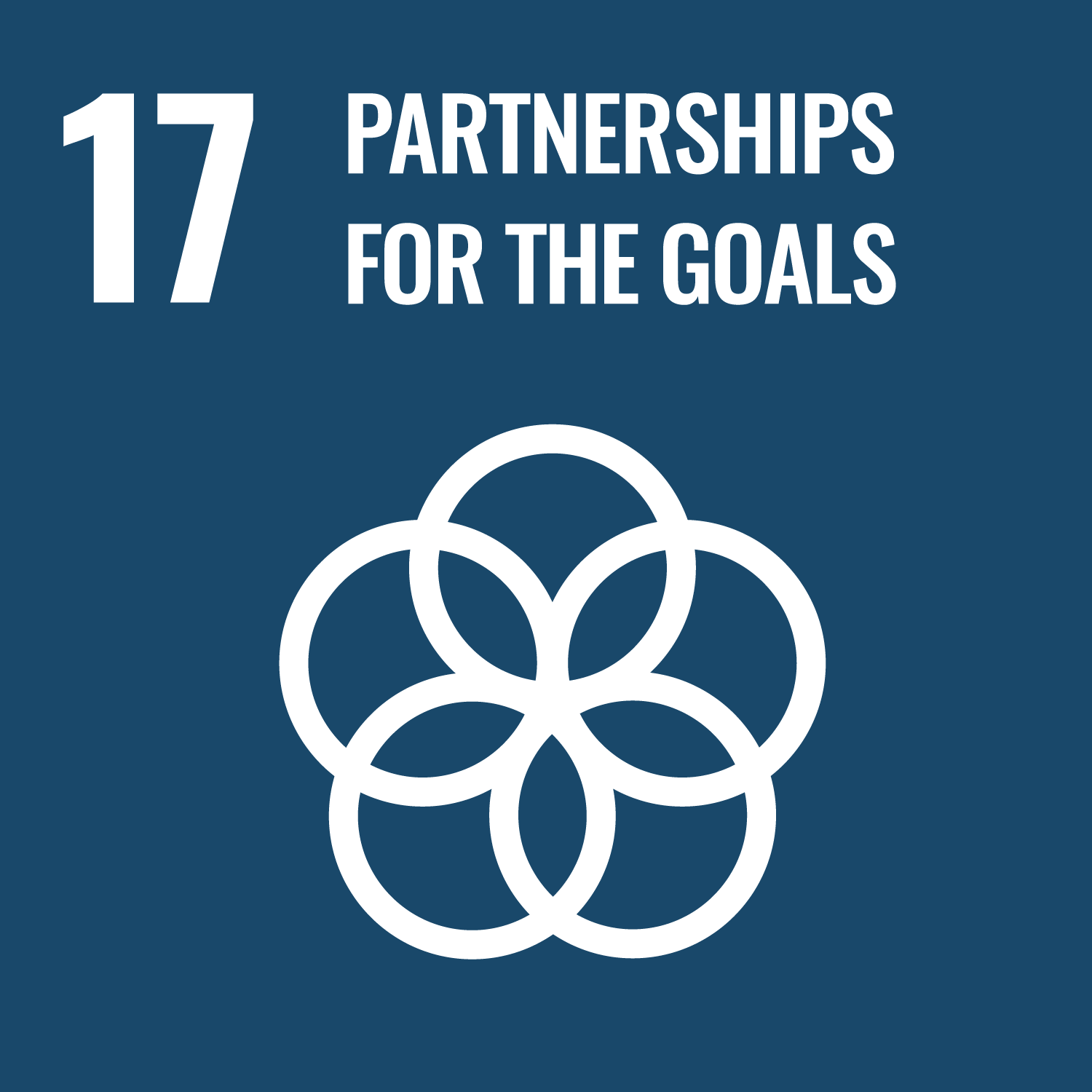 E_WEB_17 Icon for Sustainable Development Goal 17: Partnerships for the Goals