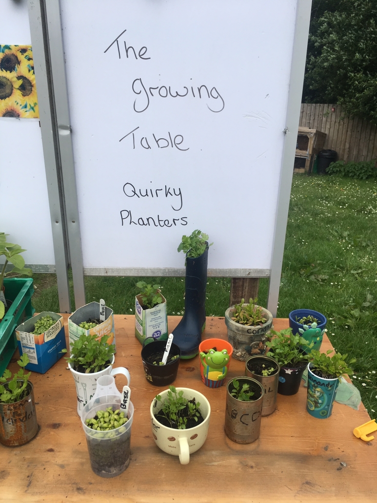 Holsworthy School Display of funny shaped plant pots labelled "The growing table - Quirky Planters" at Holsworthy Primary School garden