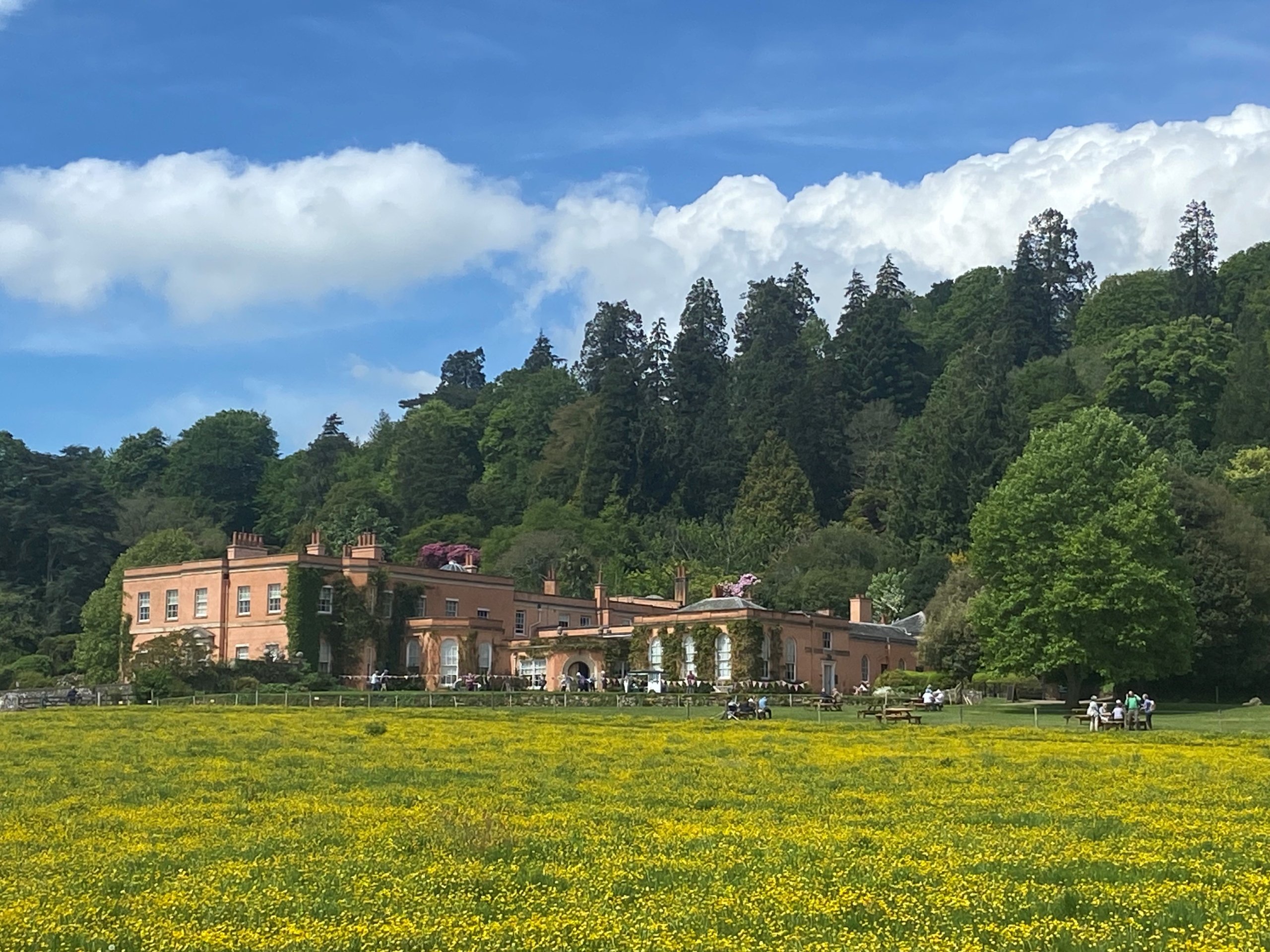 Killerton House-taken by Lucy Mottram-May 2024