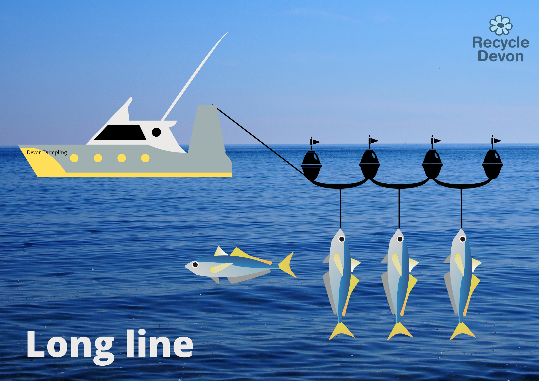 Long Line (2)