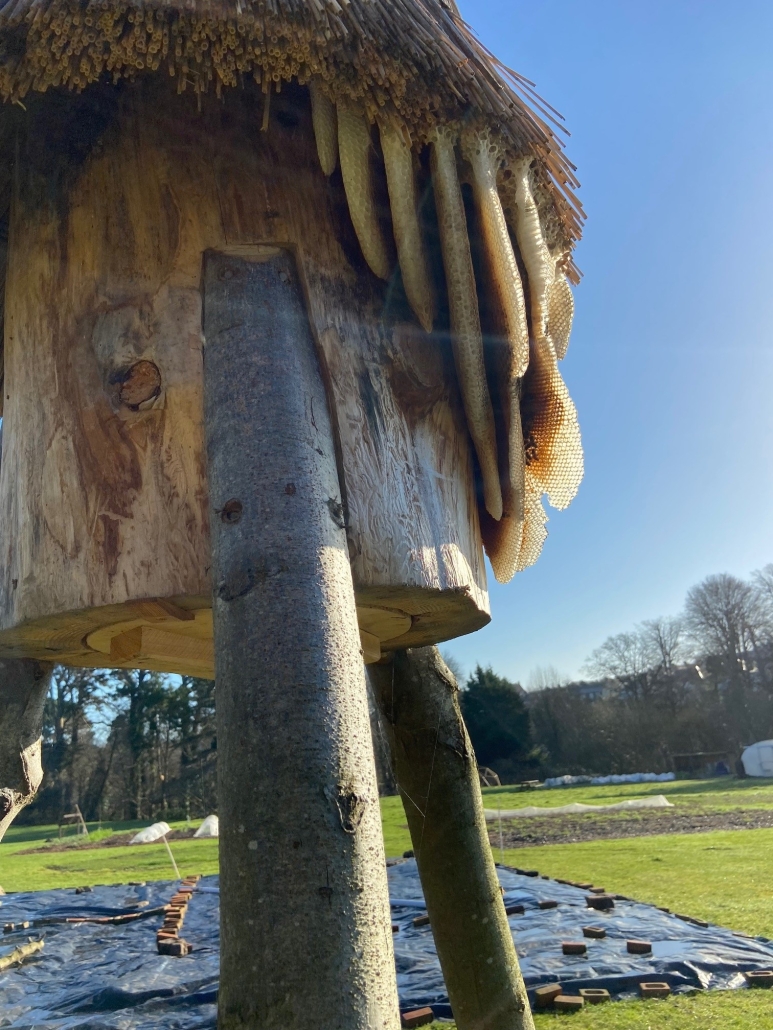Native beehive and kitchen garden at Kingsley