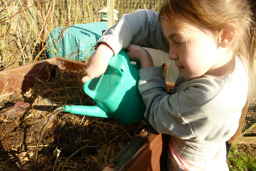 Watering the compost! Girl with watering can pouring water on a compost heap