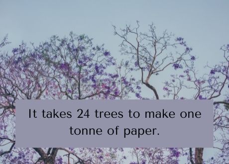 Paper Facts 2 Tree blossoms image with the text: It takes 24 trees to make one tonne of paper.