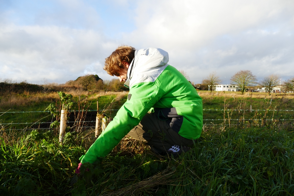 Clyst Vale Community College Teenage boy crouching on hedge clearing vegetation in front of school in winter
