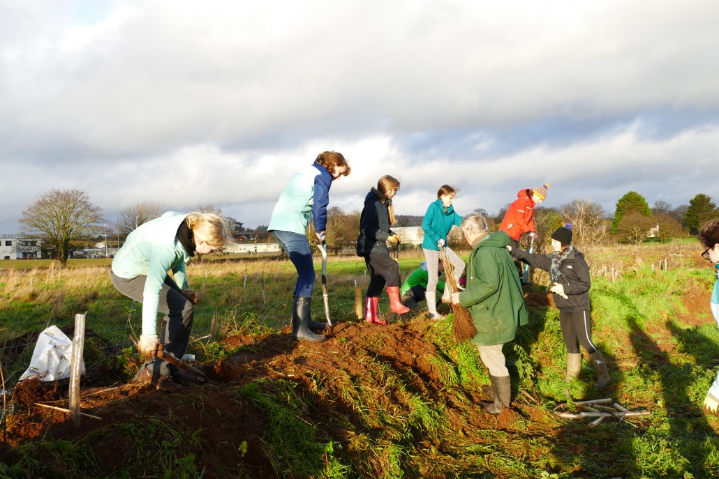 Clyst Vale Community College Eco group (teenage children) on a bank with boots and spades clearing vegetation from trees and planting new trees