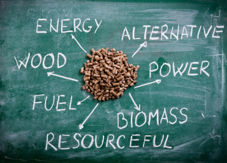 Wood facts 5 Pile of wood pellets with arrows leading from it saying Energy, Alternative, Wood, Power,Fuel, Biomass, Resourceful