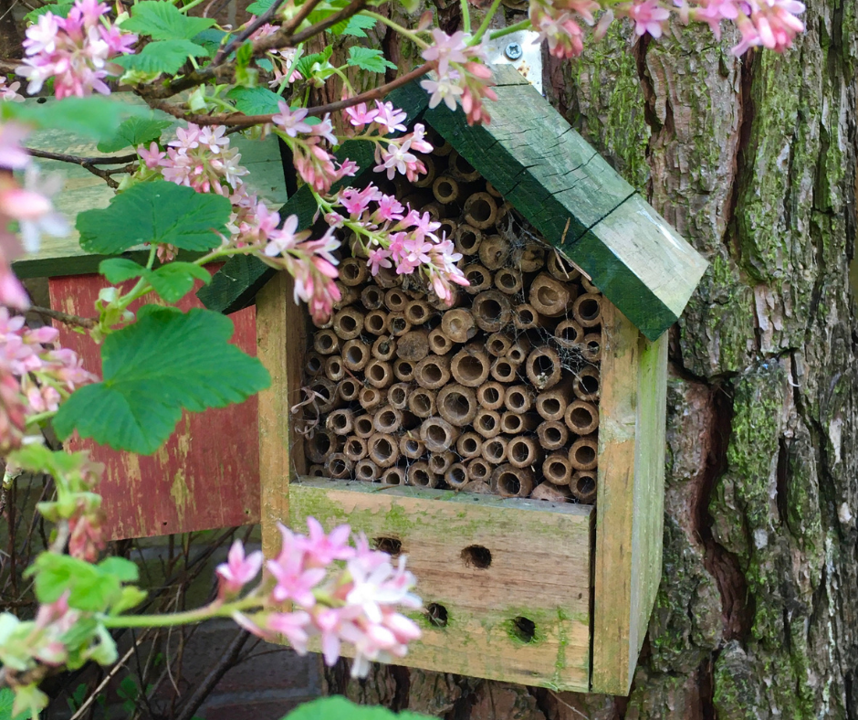 World Bee Day Bee Hotel