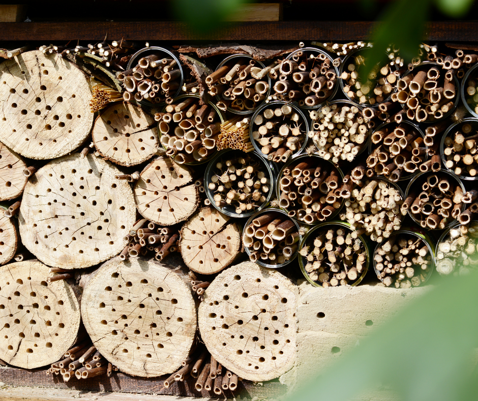 World Bee Day Bee Hotel 1