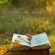 An image of a book outside on the grass in the evening sun. A few leaves are on the open book.