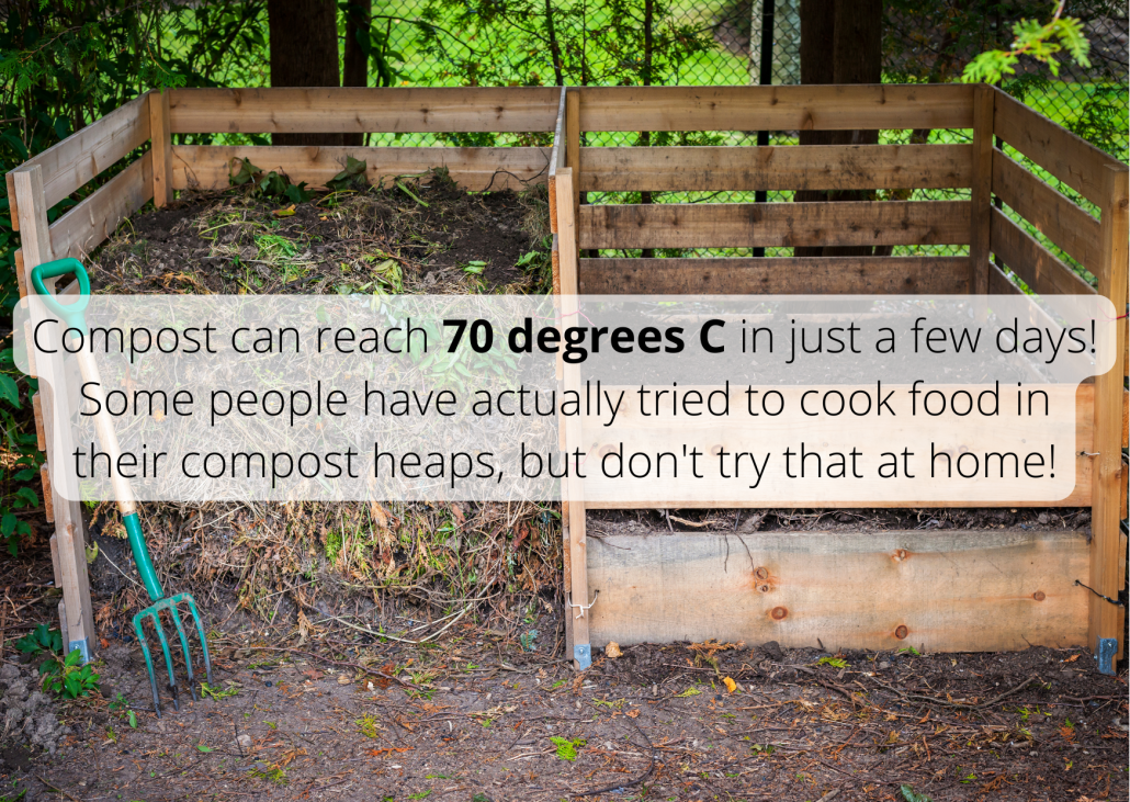 Zone website material facts (1) Compost can reach 70 degrees C in just a few days! Some people have actually tried to cook food in their compost heaps, but don't try that at home!