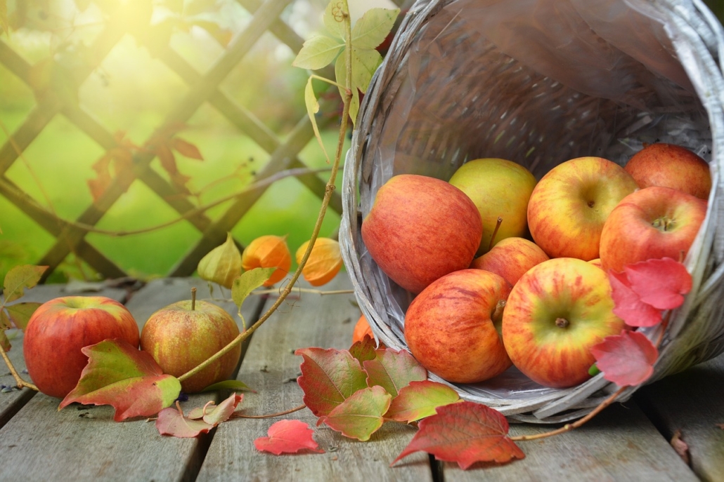 Pictures of apples fallen out onto decking. Part of the sustainability bulletin