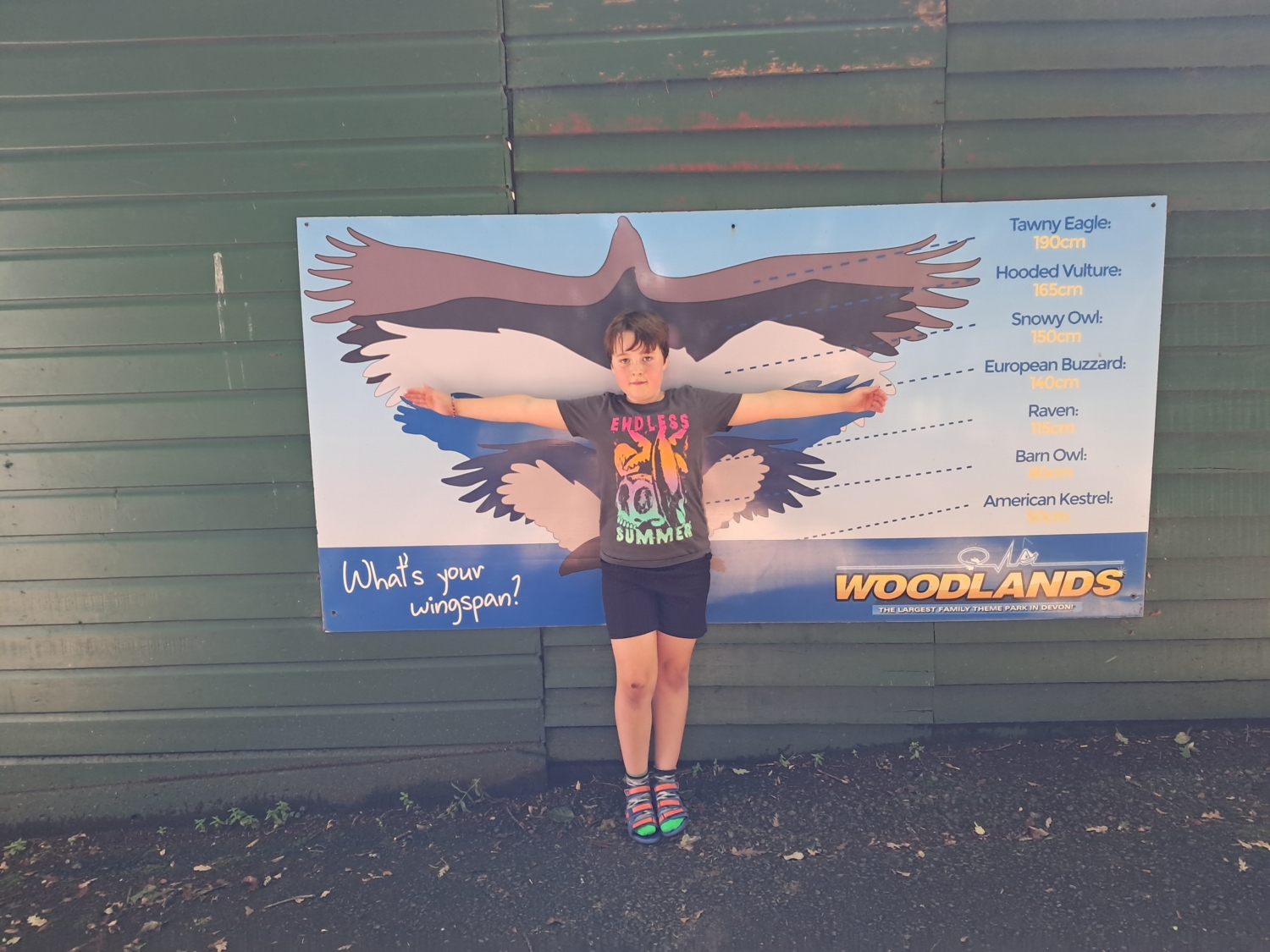 Arlo 2 A picture of Arlo, an 8 year old boy, with his arms spread out in front of a poster with bird wings
