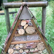 Bug Hotel in Exmoor National Park