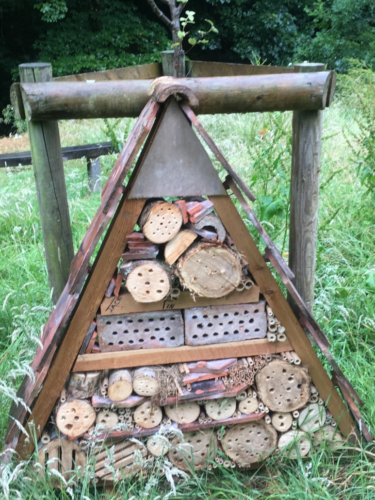 Bug Hotel in Exmoor National Park