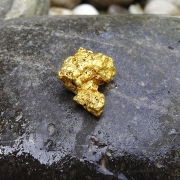 Gold nugget on rock