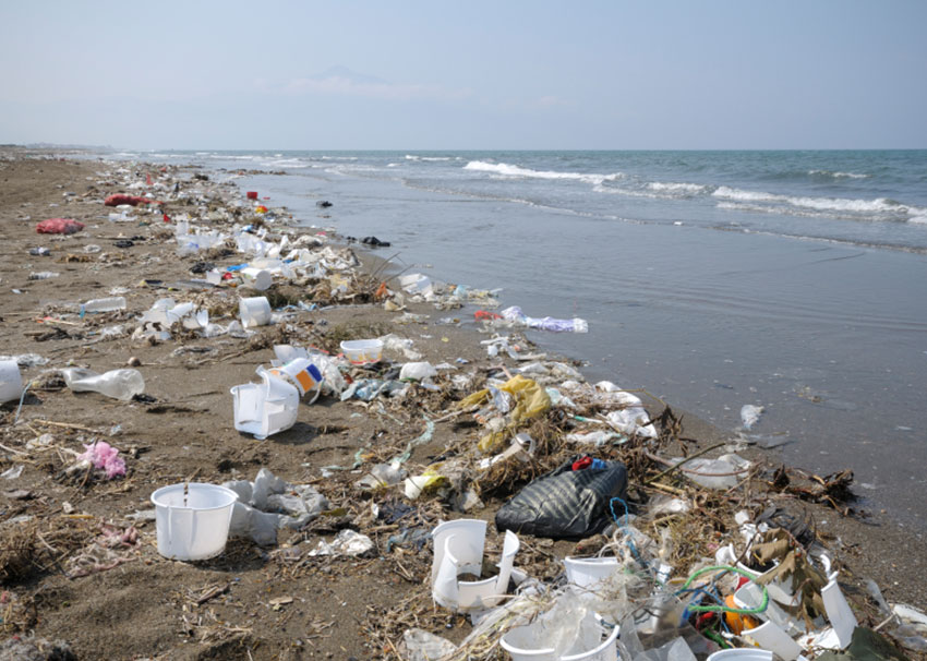 Litter in the Environment - KS3/4 Picture of lots of plastic litter along a beach