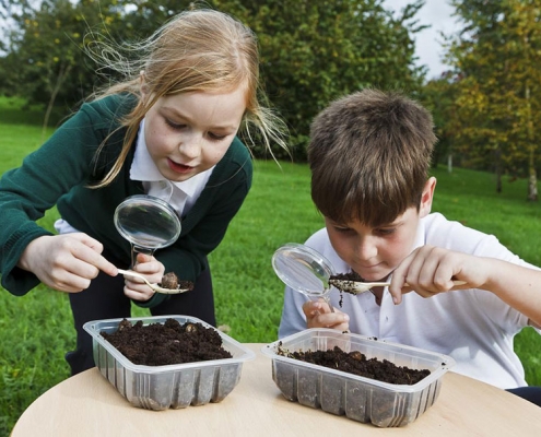 2 children looking for minibeasts in the compost