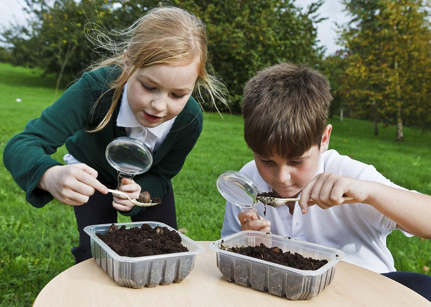 2 children looking for minibeasts in the compost