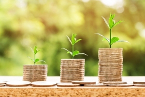 plants emergiung from piles of coins