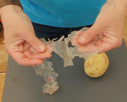 Hands holding a sample of bioplastic