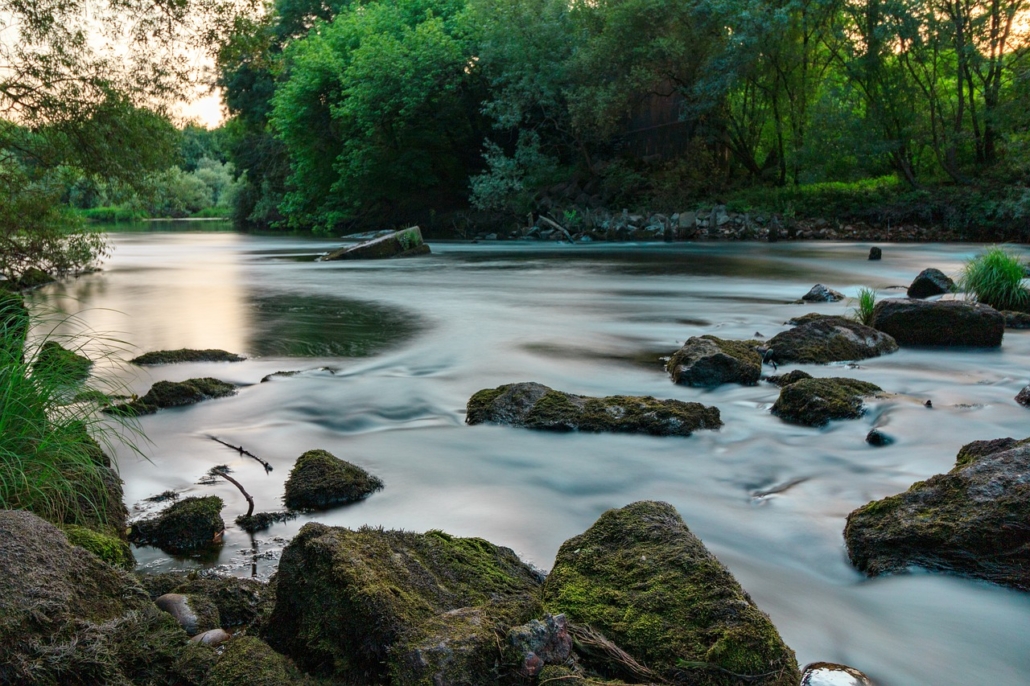 A river in a forest. part of the sustainability bulletin.