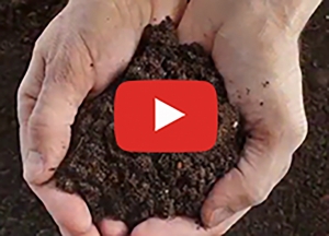 Still from a compost video