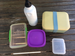 waste free lunch assorted containers
