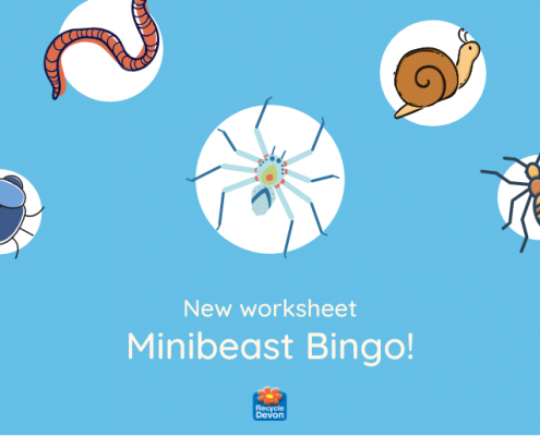 Find some minibeasts!